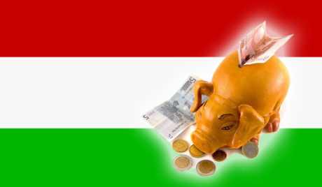 A magyar hús 'Európa hulladéklerakójában' végezheti Kollázs_ Oroszország hangja
