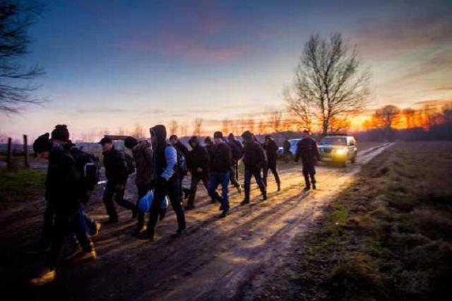 Illegális bevándorlók Magyarország határában